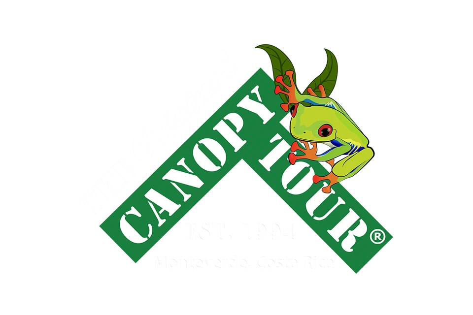 Canopy