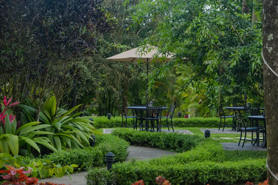 Comedor en jardín tropical