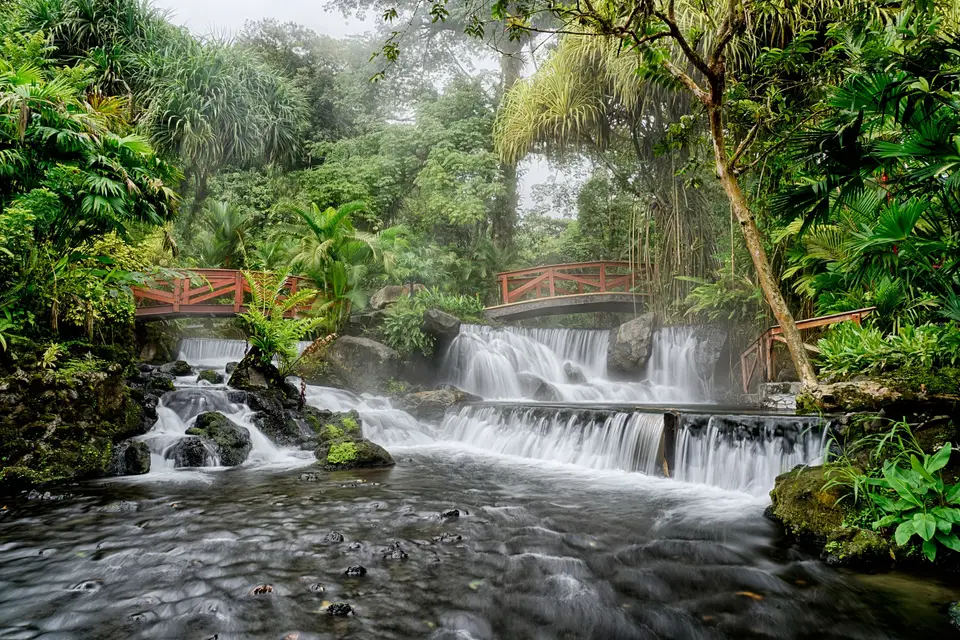 Catarata en el bosque lluvioso